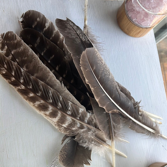 Clearing Feather
